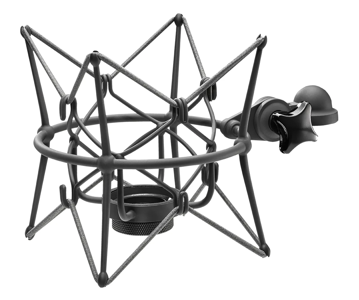 Neumann EA 2 mt